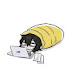 Zp8MVSPNeFA-channel-avatar-shikiaza. 