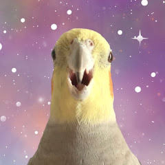 Alex The Honking Bird avatar