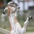 VCf_gu7nYtM-channel-avatar-SlimGoaty