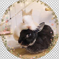 밤이랑태우🐰bunny papa