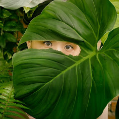 Leafing Around avatar