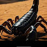 LnGCLeCupKU-channel-avatar-Zodiac Scorpio 