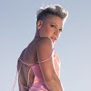 What could P!NK buy with $20.01 million?