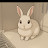 @피치피치d