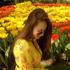 Kitchen Phana net worth