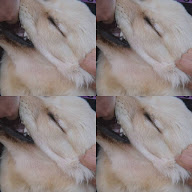 thumbnail img1x1