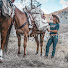bh6KyYgBWz0-channel-avatar-American Ranch Company