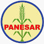 PANESAR COMBINE logo