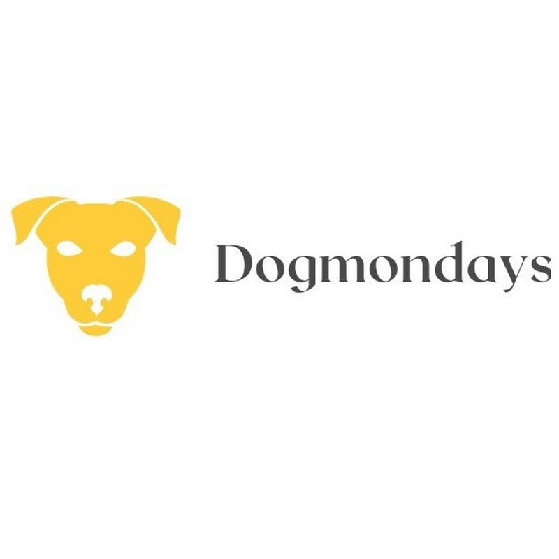 Dogmondays
