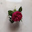 @YasmeenTaha-u2g