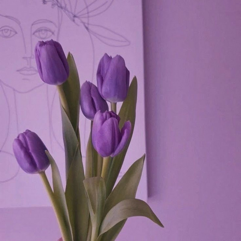 Lavender
