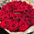 @PiyasLifestyle-1
