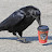 @WildBird339 Avatar