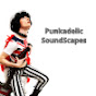 Punkadelic Soundscapes logo