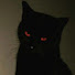 NkORhz7wS-Q-channel-avatar-kulturekat