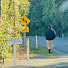zqya_gvfHz0-channel-avatar-Out of Office Justin