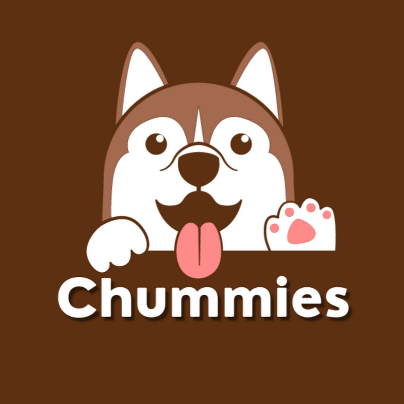 Business for Chummies