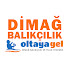 pZey40bjzys-channel-avatar-Oltayagel Dimağ Balıkçılık