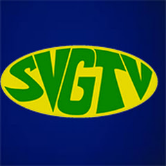 SVG-TV News net worth