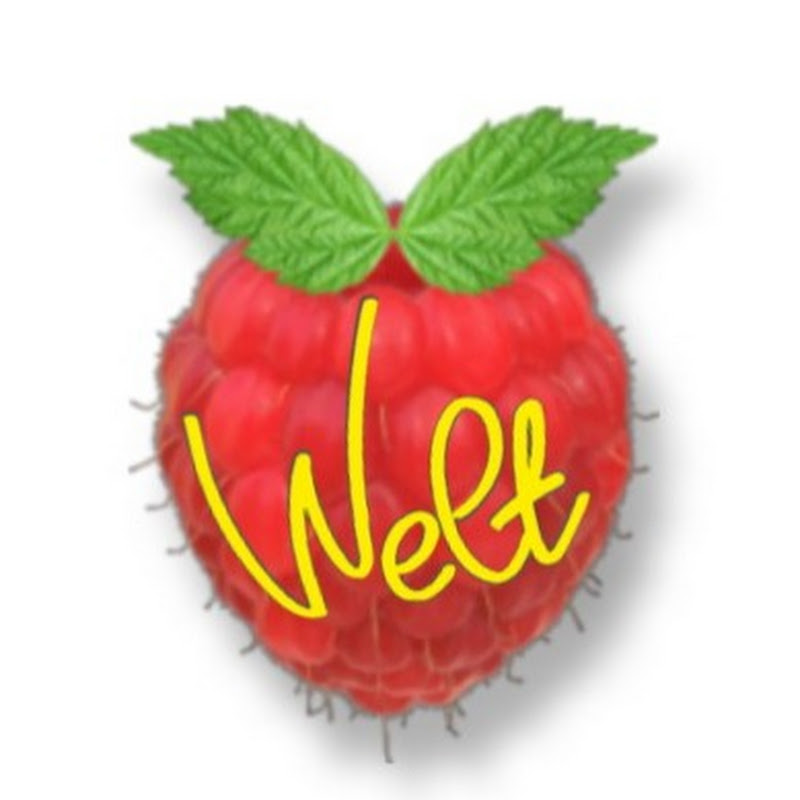 Raspberry Pi Welt