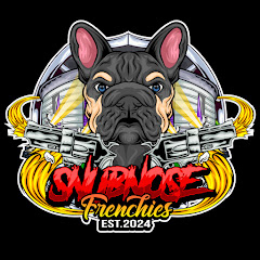 SnubNose Frenchies