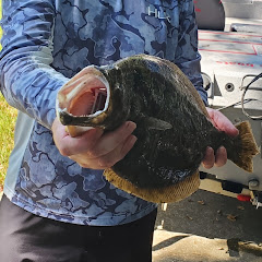 251 REELING