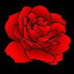jVkSHaJGPPU-channel-avatar-Slo-Mo Rose
