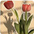 @صبار-م7م
