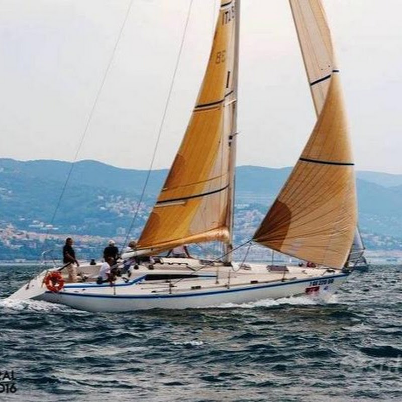 sailingvaevictis4431