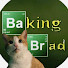 DS9N4qOVKtk-channel-avatar-BakingBrad