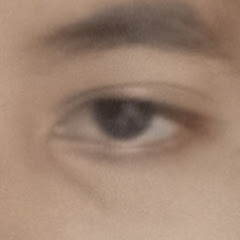 Tahzeeb Anwar ke vlog 