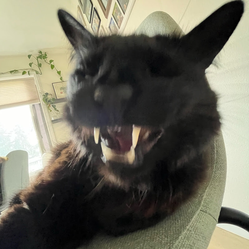 🌈L1TTL3 RASCAL🍀