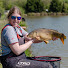 BQ9z4nw3yyM-channel-avatar-Abbey_cutting_fishing