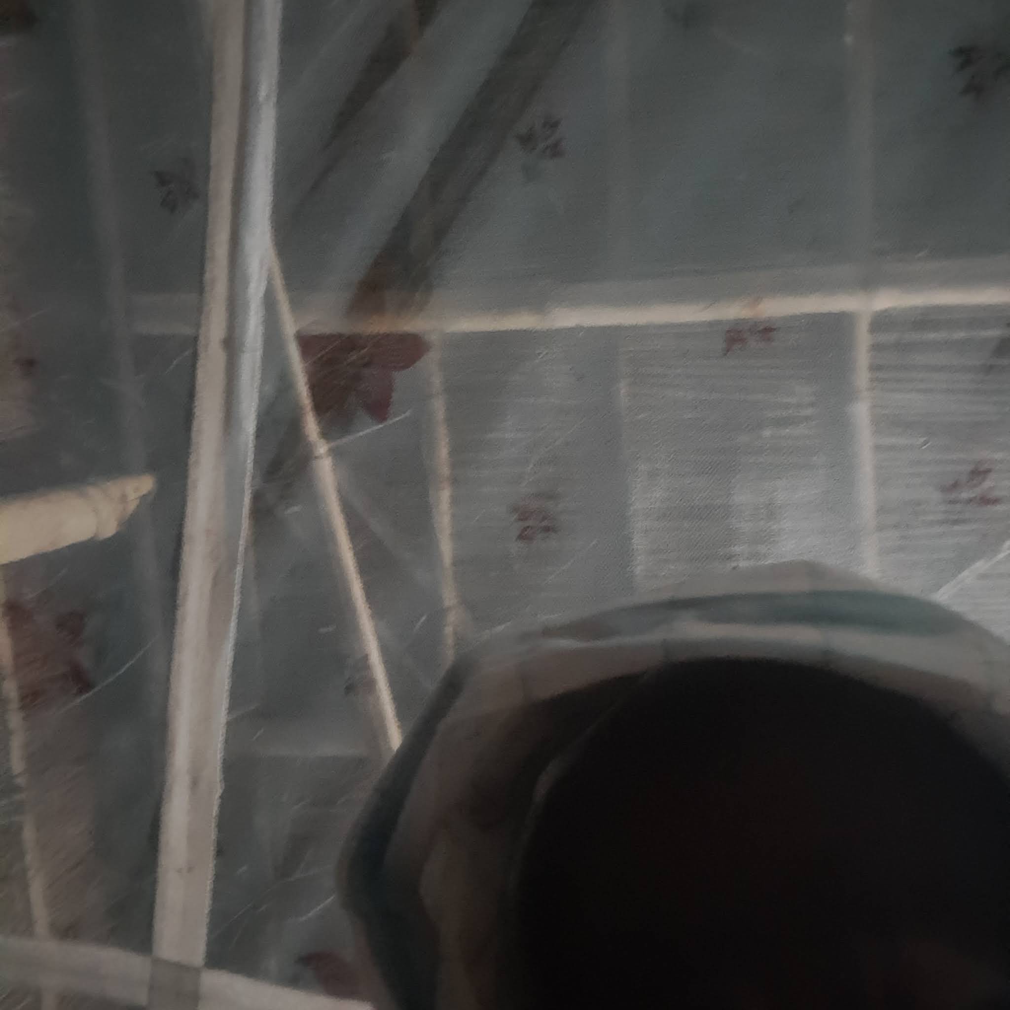 Post from Lakhindra Singh