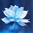 EQrBlZrsxmw-channel-avatar-RayneCloud