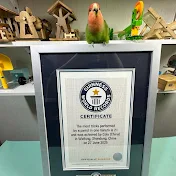 Parrot player