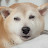 @イントニオアノキ-u9h
