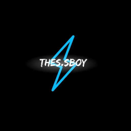 THE S.S BOY
