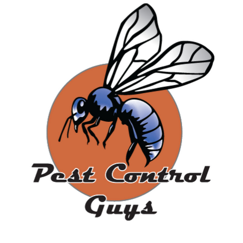 Pest Control Guys