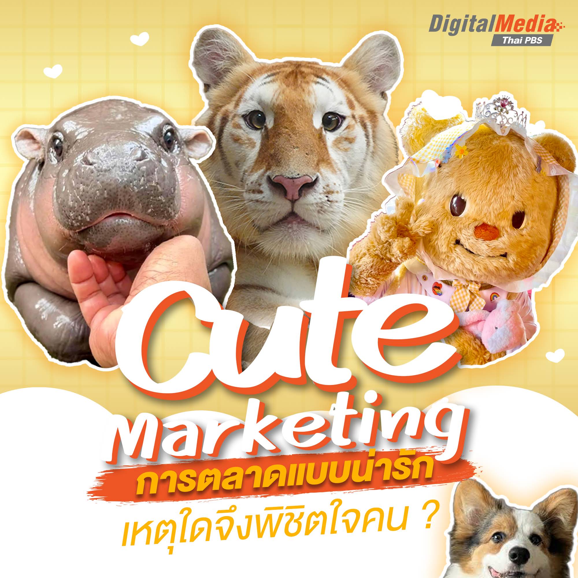 Post from Thai PBS