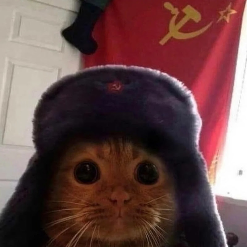 mizahci