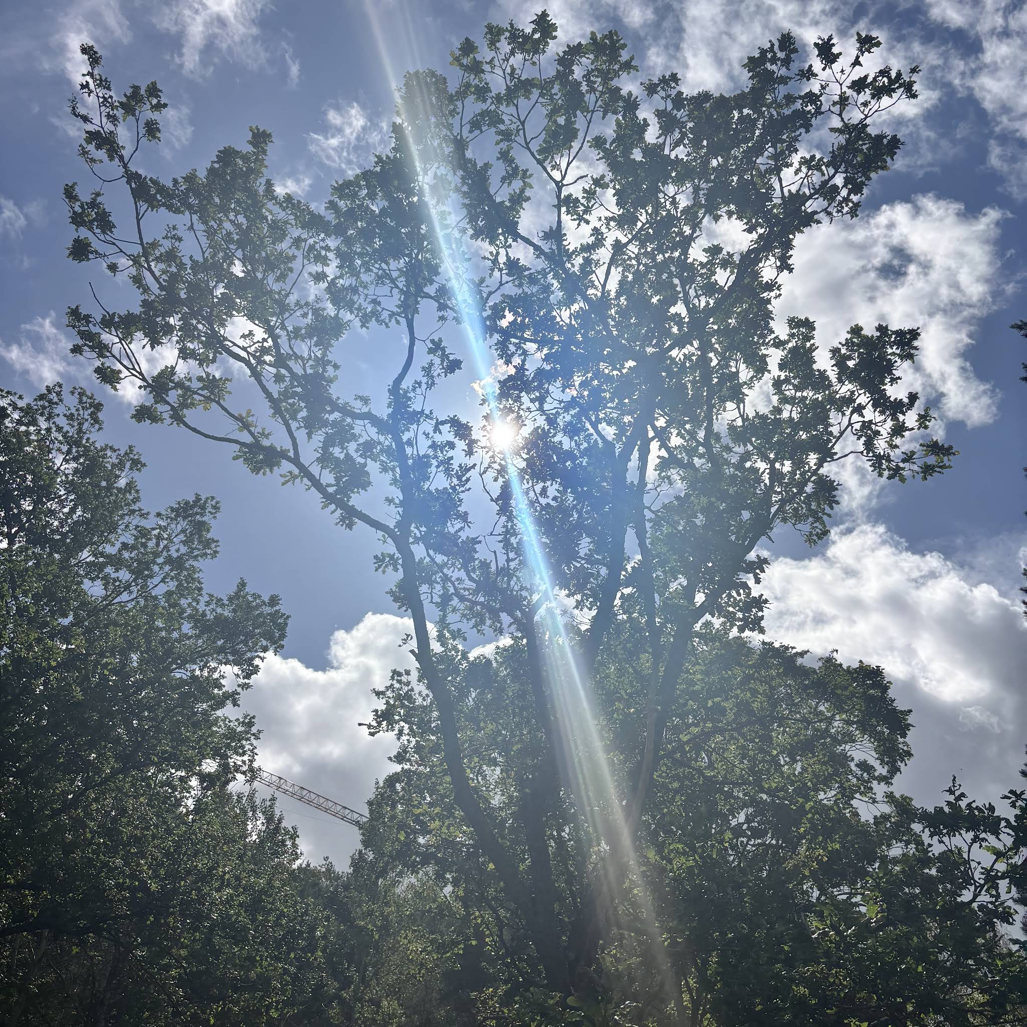 Post from Knowe Rata