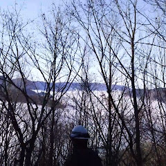 CAR&CATチャンネル総合