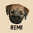 Remi the Border Terrier