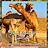 عالم الحيوانات الجمل Animals Camel