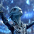 q3g1KLww-2U-channel-avatar-JoltRage HFY