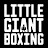 Little Giant Boxing