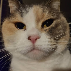 まろん