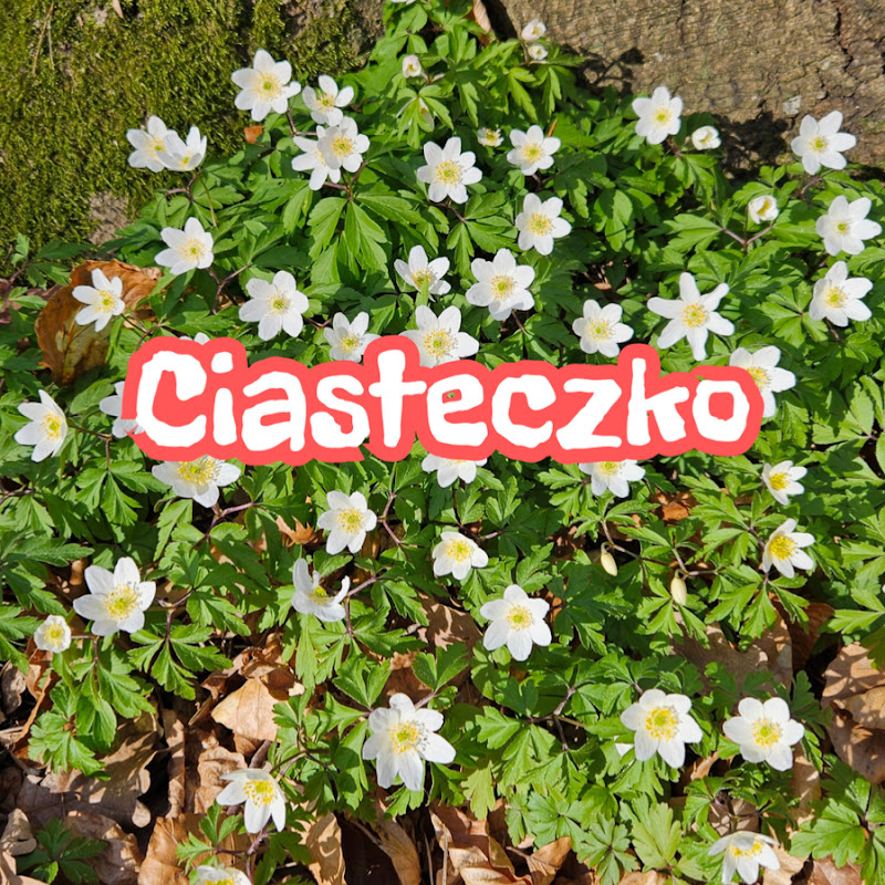 Ciasteczko