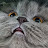 @BBangya-cat